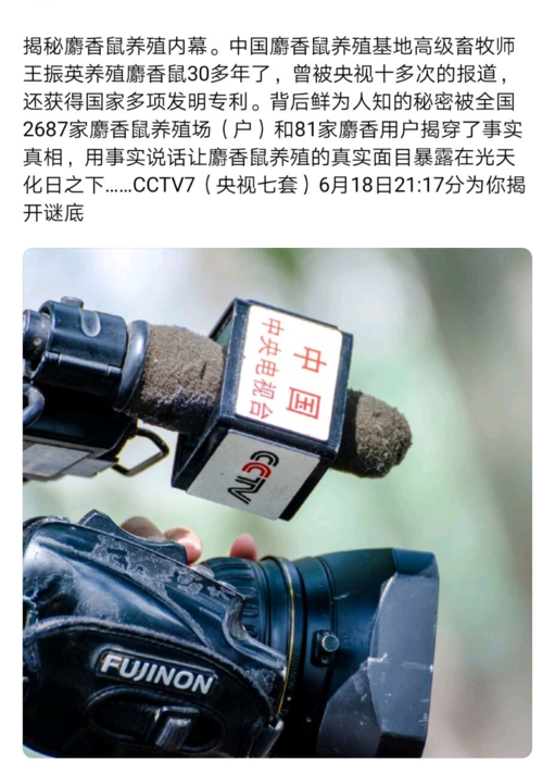 麝香鼠养殖基地
